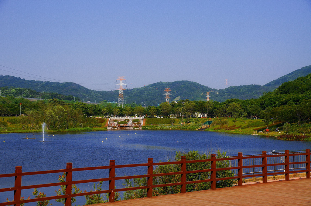 20110605-DSC00041