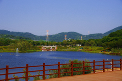 20110605-DSC00041