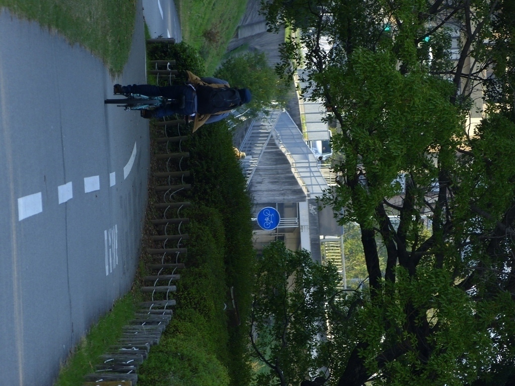 昼下がり