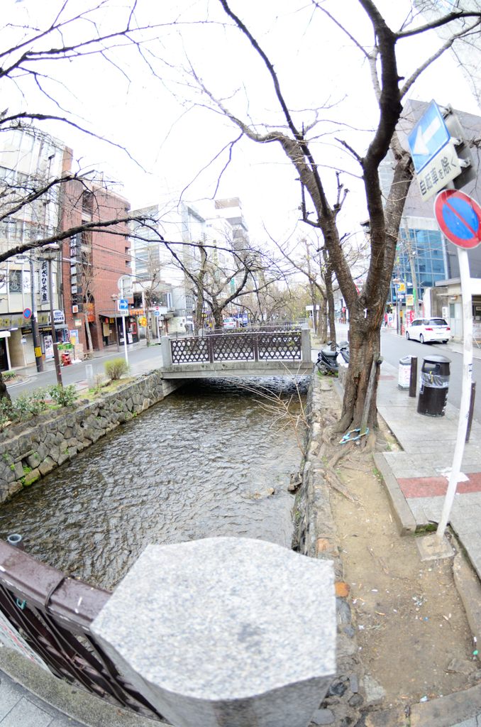雨の木屋町。