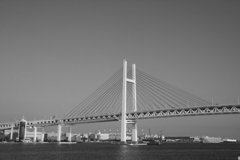 海が見える風景8