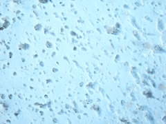 雪３