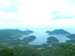 青葉山から