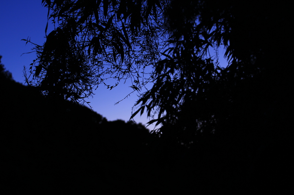夕暮れ時