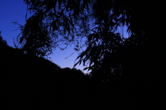 夕暮れ時