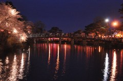 夜桜