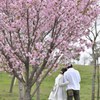 桜の樹の下で･･