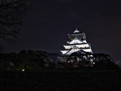 大阪城公園