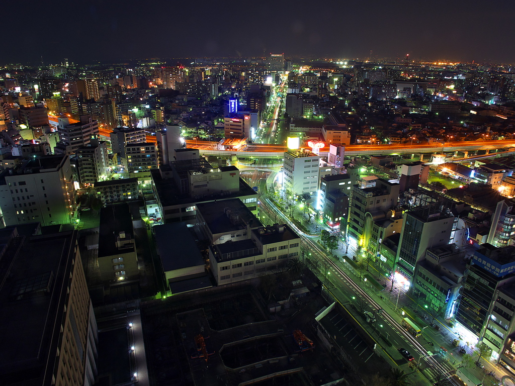 堺市役所1