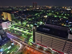 堺市役所10