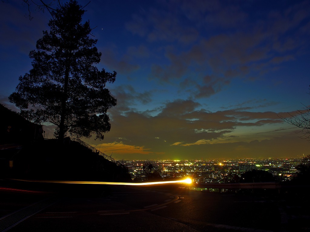 高尾山山道3