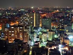 堺市役所14