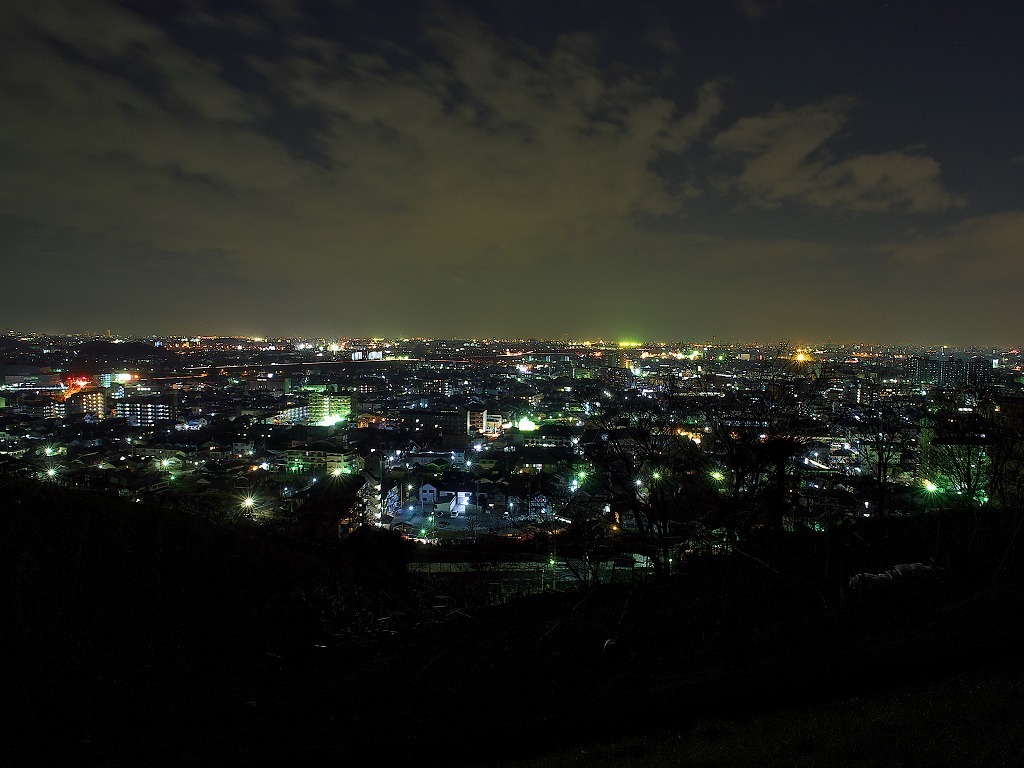 高尾山山道12