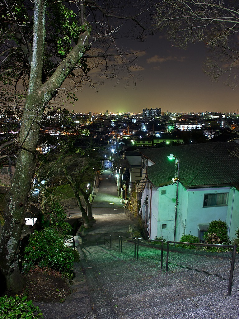 高尾山山道17