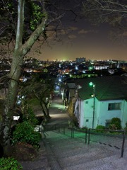 高尾山山道17