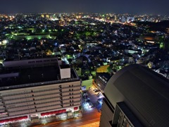 堺市役所9
