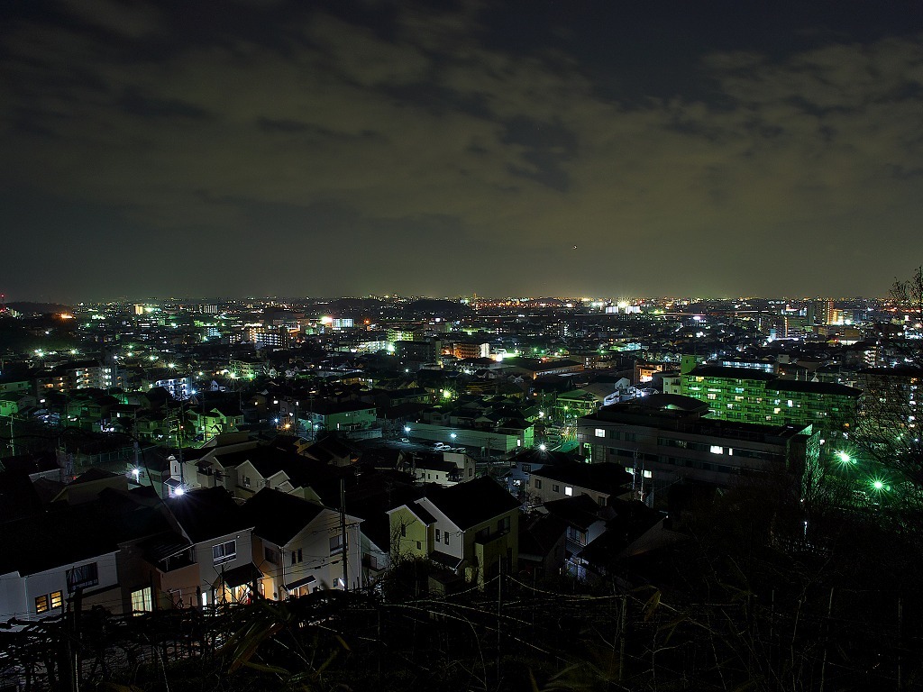 高尾山山道13