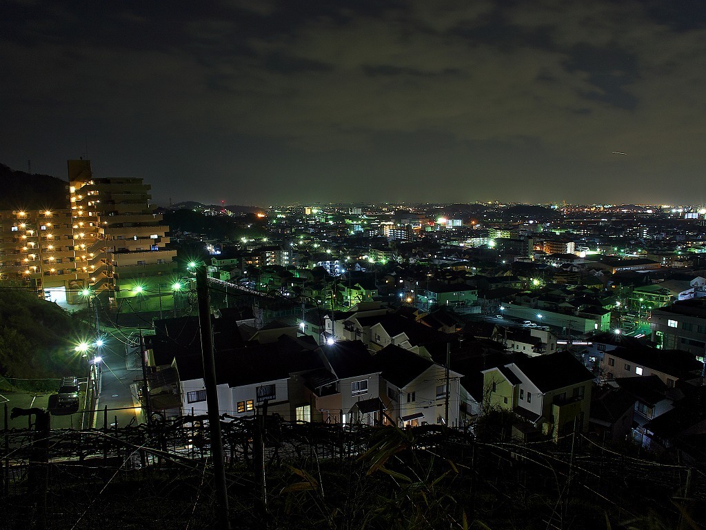 高尾山山道14