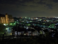 高尾山山道14