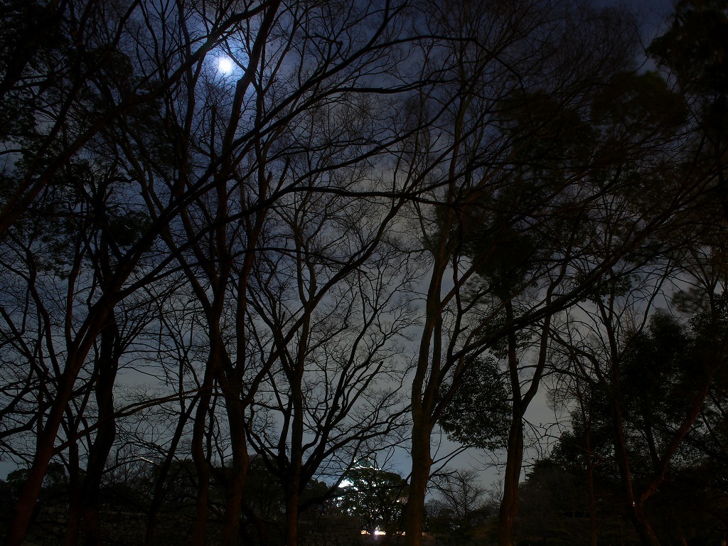 大阪城公園