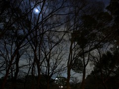 大阪城公園