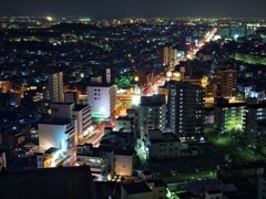 堺市役所5