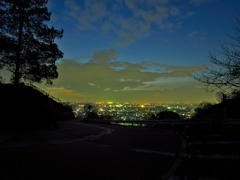 高尾山山道5