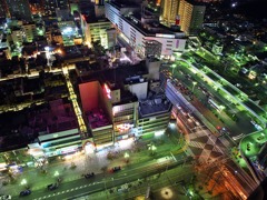 堺市役所11
