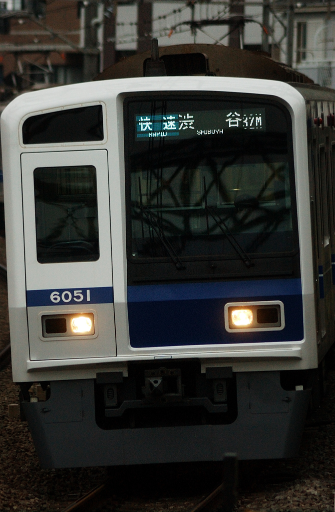 DSC_8646