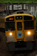 DSC_8626