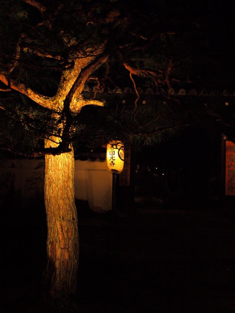 圓光寺