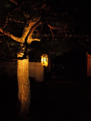 圓光寺