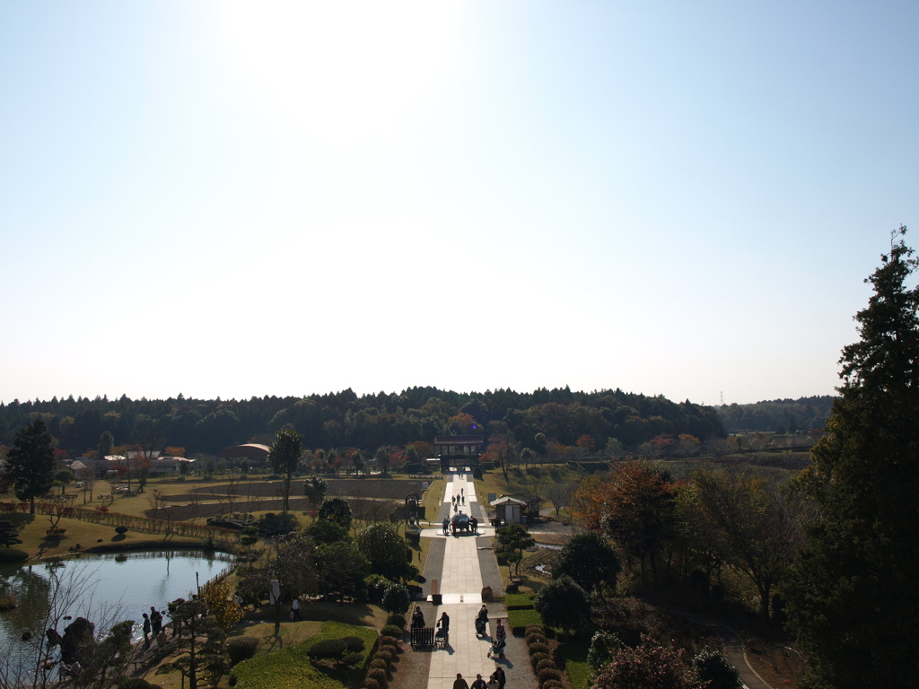 大仏さんが見る景色