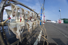 天日干し