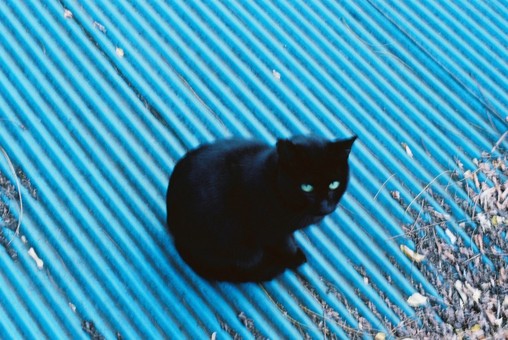 眼光