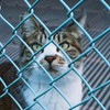 こんにちは