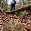 阻まれる。