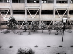 雪の日