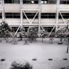 雪の日
