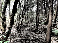 steep way