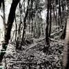 steep way