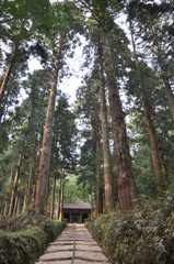 金勝寺参道