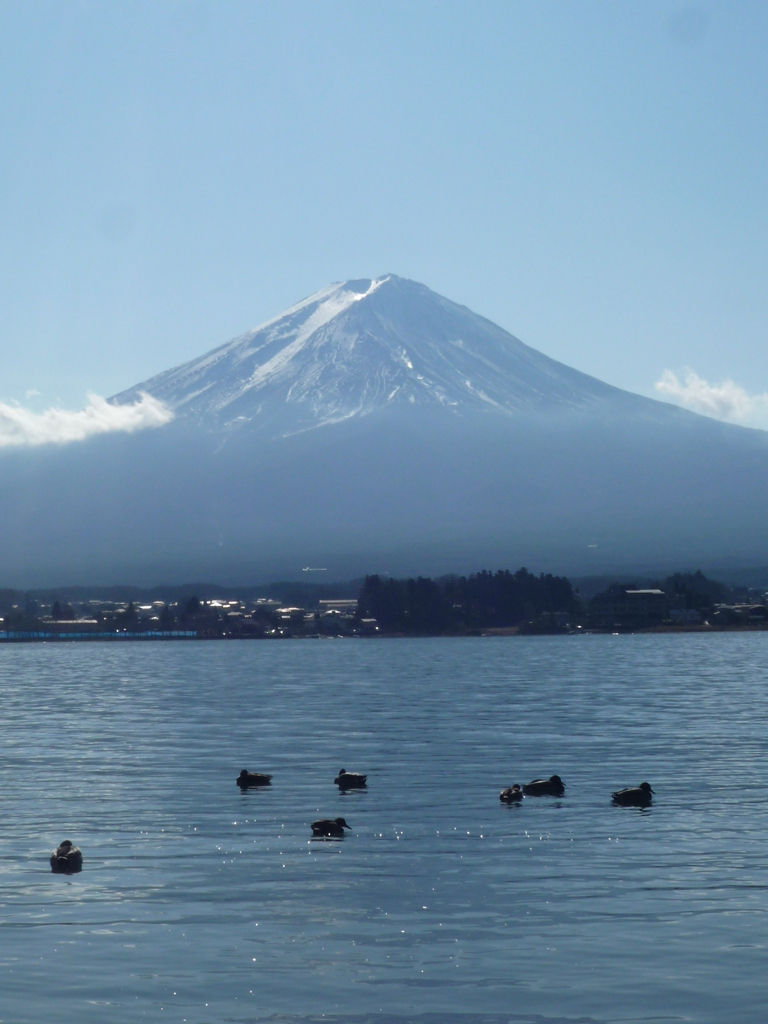 みんなの富士山