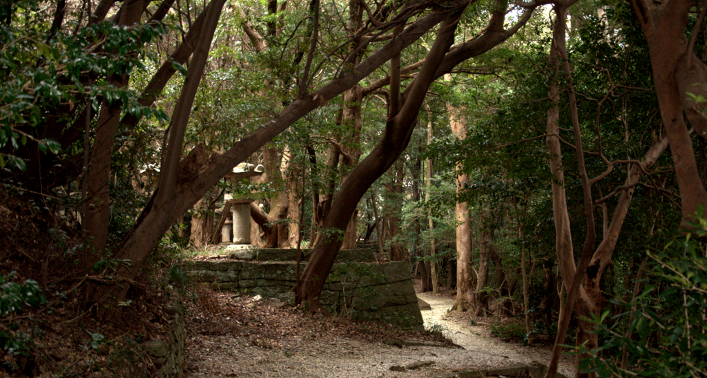 廟所の道  長保寺　