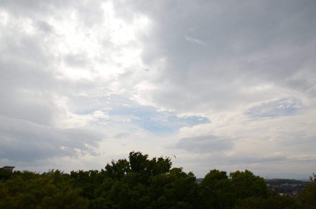 空
