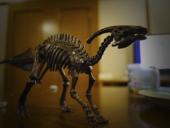 骨