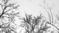 時々頭に落ちてくる