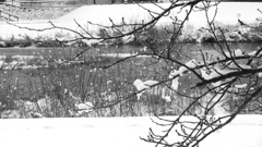 たしか師走の話です