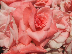 「君の不完全さが好き。｣