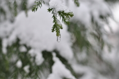 雫